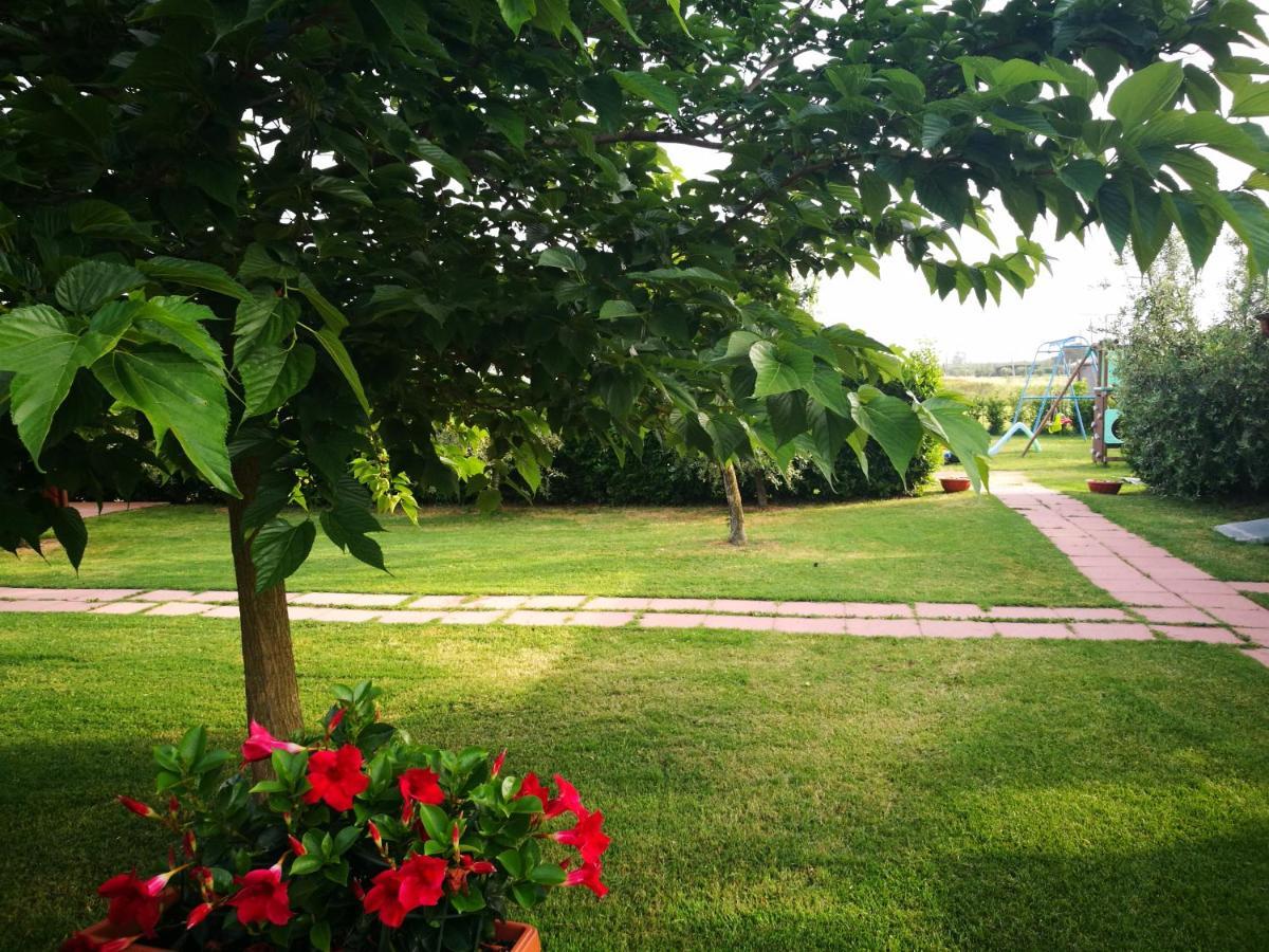 Agriturismo Alturetta Риоторто Экстерьер фото